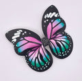 Mystical Butterfly Hair Clip